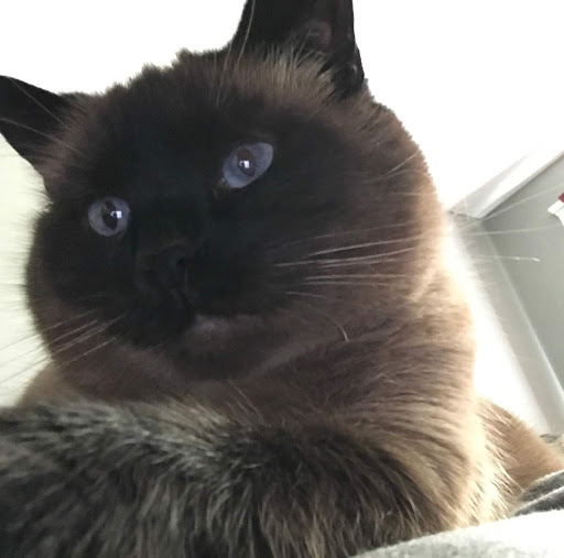 Scott Schroeder Photo 7