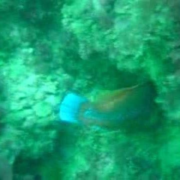 Stephen Hathaway Photo 34