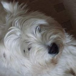 Lorna Robinson Photo 18