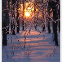 Heather Mccormick Photo 26