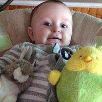 Tracy Weiler Photo 5