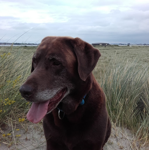 Margaret Moran Photo 27 Margaret Moran Photo 27