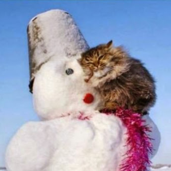 Russell Kates Photo 14