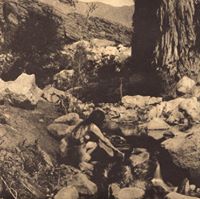 Sophie Sherman Photo 6