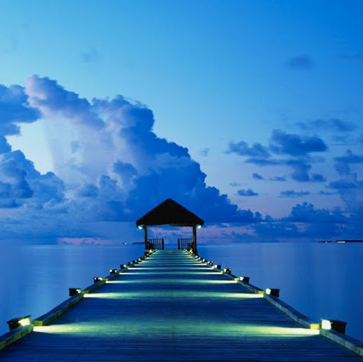 Fred Clark Photo 43 Fred Clark Photo 43