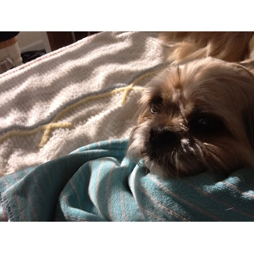 Vera Wright Photo 31