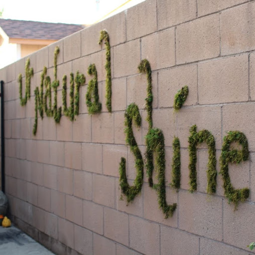 Cecelia Mitchell Photo 4