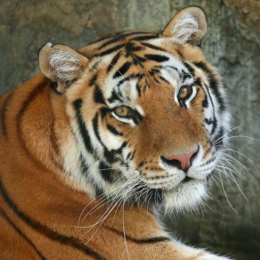 Julie Bergeron Photo 15