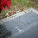 Cal Kelley Photo 7