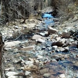 Nancy Kirby Photo 11