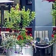 Darlene Walsh Photo 17