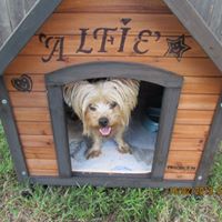 Janie Alexander Photo 22