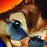 Kevin Draper Photo 8