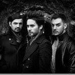 Angie Rader Photo 15