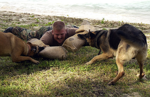 Major Cole Photo 2