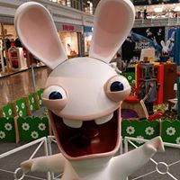 Harvey Spector Photo 19