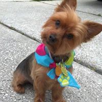 Rachel Lyons Photo 24