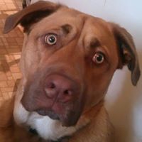 Judy Kimbrell Photo 10