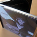 Dominic Case Photo 10