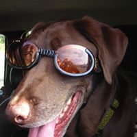 Joyce Ferguson Photo 8