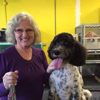 Jane Porter Photo 18 Jane Porter Photo 18