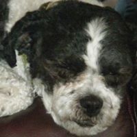 Fred Webber Photo 14