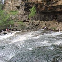 Kenneth Golden Photo 12