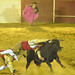 Manuel Cordero Photo 32
