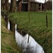 Suzanne Weiland Photo 6