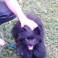 Hollie Grubb Photo 6