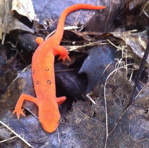 Eric Jacobsen Photo 31 Eric Jacobsen Photo 31