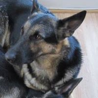 Stefanie Richards Photo 9