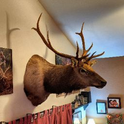 Chris Andrew Photo 46