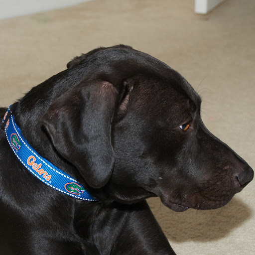 Jerry Howell Photo 31