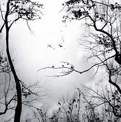 Angela Summers Photo 31