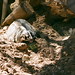 Ellen Badger Photo 16