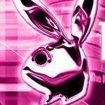 Rachel Mcclain Photo 32