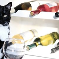 Mitchell Morgan Photo 37 Mitchell Morgan Photo 37