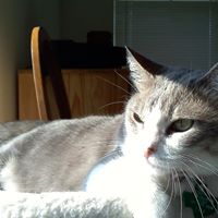 Julia Messenger Photo 3