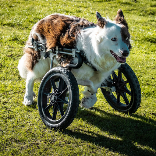 Stephanie Fox Photo 31