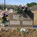 June Mcbride Photo 6