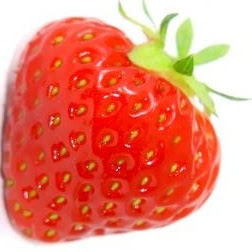 Sara Mcclellan Photo 19