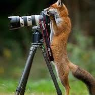 Debbie Trujillo Photo 26