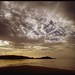 Darrell Moody Photo 8