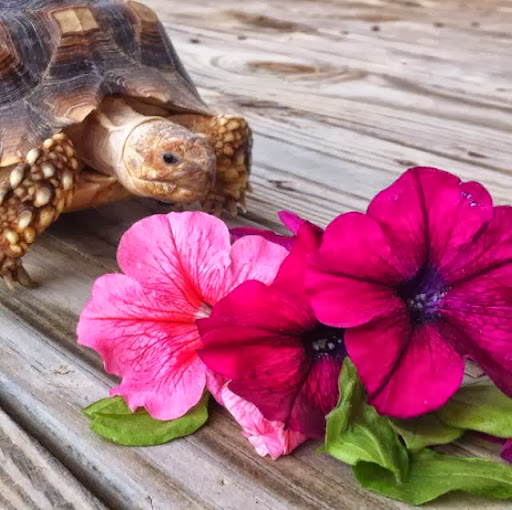 Joelle Fernandez Photo 12