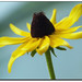 Susan Bolton Photo 41