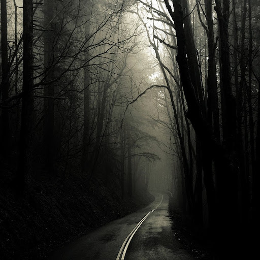 Kristina Harrison Photo 18