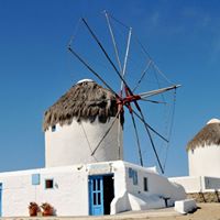 Kathy Matlock Photo 16