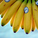 Chiquita Head Photo 7