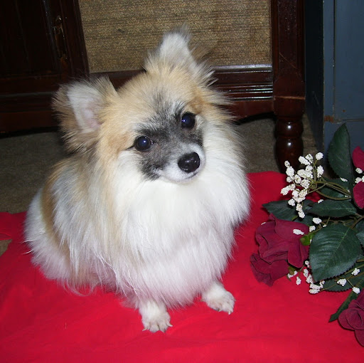 Judith Bennett Photo 30